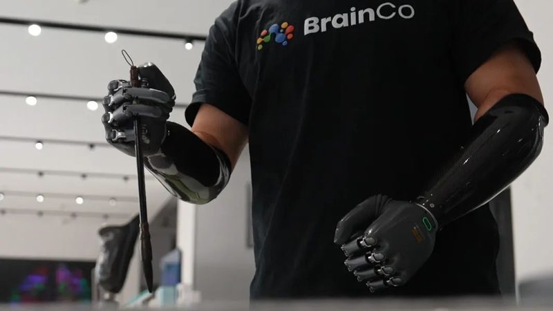云服务器与物理机：带宽差异解析